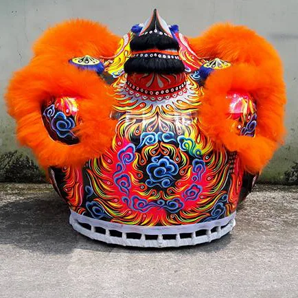 ĐẦU LÂN MÀU CAM - Ảnh 5