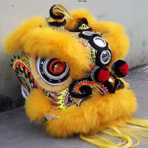 15419570 1627069737601825 1380855777550608146 o