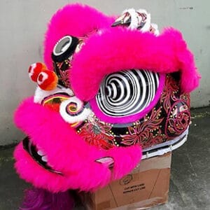 ĐẦU LÂN MÀU HỒNG 13 1864 1521348054840661 3377713446592953687 n