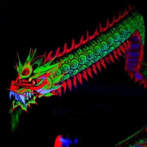 RỒNG QUỐC TẾ MALAYSIA 16 25299794 1839768796052062 5852506729882920695 o