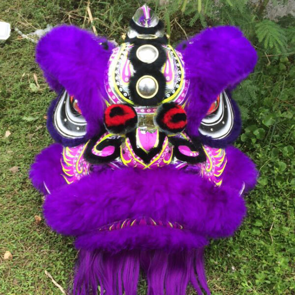 ĐẦU LÂN MÀU TÍM - Ảnh 8