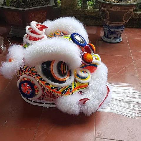 ĐẦU LÂN MÀU TRẮNG - Ảnh 6