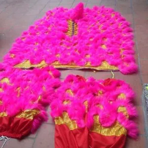 ĐẦU LÂN MÀU HỒNG 10 26063508 724317384430476 7702507809315496035 o