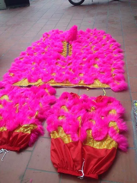 ĐẦU LÂN MÀU HỒNG 2 ĐẦU LÂN MÀU HỒNG - Ảnh 2