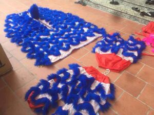 ĐỘI MÚA LÂN SƯ RỒNG HÀ NỘI 0972263280