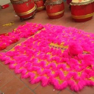 ĐẦU LÂN MÀU HỒNG 11 26116227 724317337763814 3433199773306163808 o