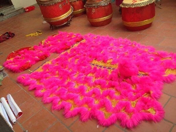 ĐẦU LÂN MÀU HỒNG - Ảnh 3