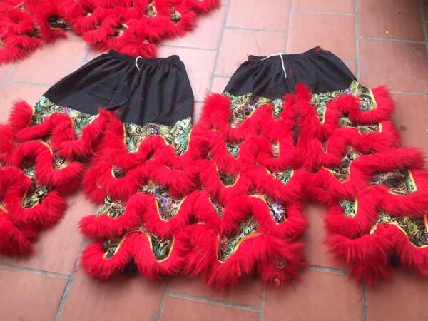 ĐẦU LÂN MÀU ĐỔ - Ảnh 3