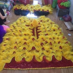 26172136 724316217763926 3494583606995865648 o