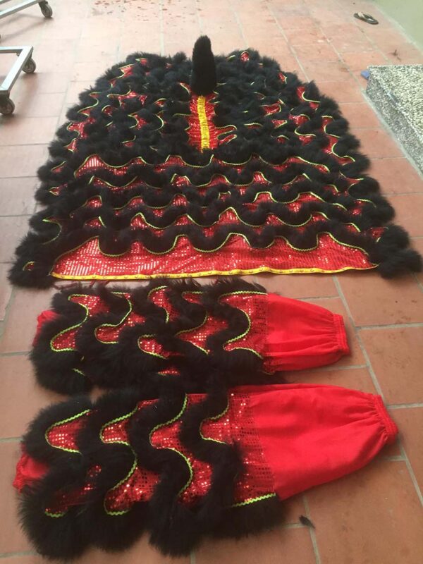 ĐẦU LÂN MÀU ĐEN - Ảnh 4
