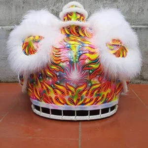 32294389 2052711648302609 2646136996107386880 n