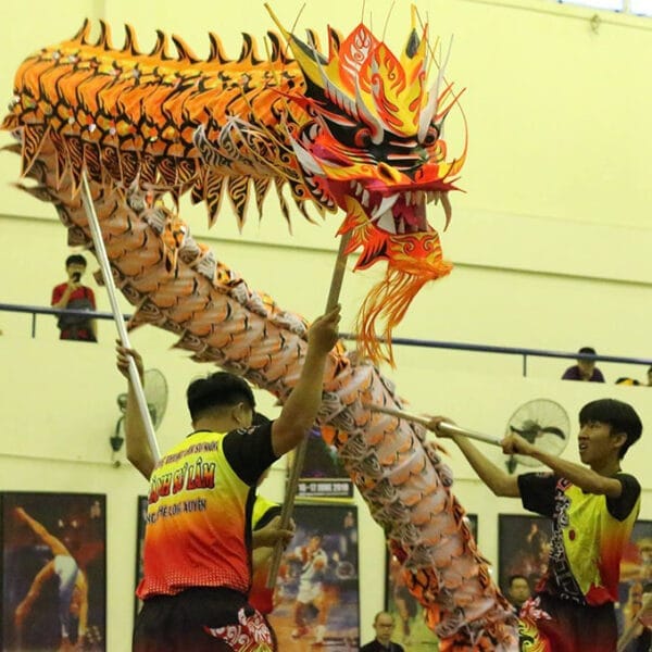 RỒNG QUỐC TẾ MALAYSIA - Ảnh 6