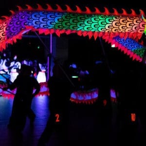 41409131 2177785348917070 8440716686423752704 o