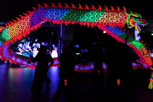 RỒNG QUỐC TẾ SINGAPORE - Ảnh 5