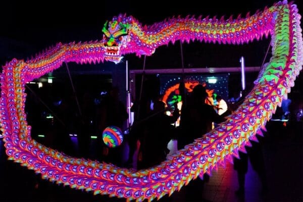 RỒNG QUỐC TẾ SINGAPORE - Ảnh 4