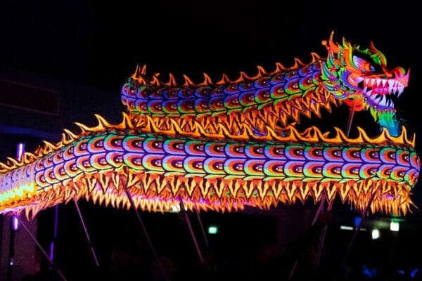 RỒNG QUỐC TẾ SINGAPORE - Ảnh 3