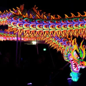 RỒNG DẠ QUANG 16 41611855 2181184298577175 923522606928232448 o