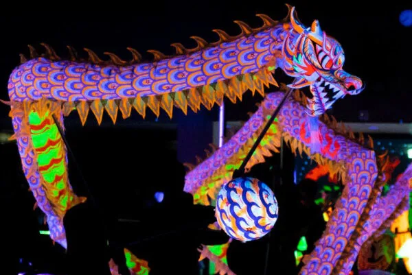 RỒNG DẠ QUANG - Ảnh 3