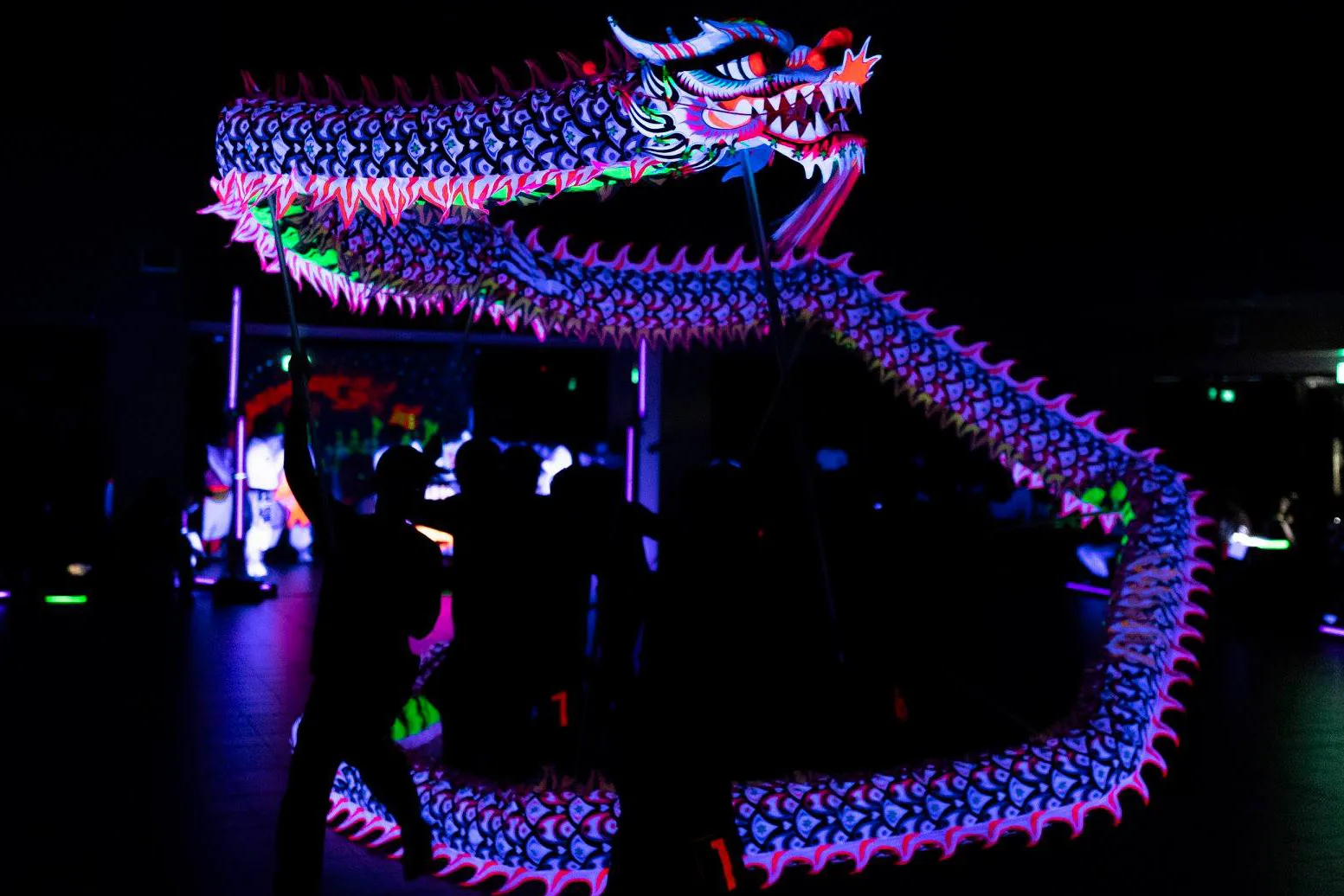 RỒNG DẠ QUANG 2 RỒNG DẠ QUANG - Ảnh 2