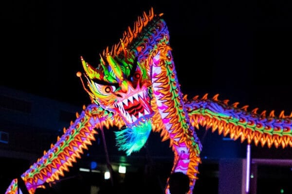 RỒNG QUỐC TẾ SINGAPORE - Ảnh 2