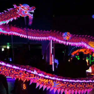 RỒNG DẠ QUANG 18 41745363 2181208508574754 5185097266641240064 o