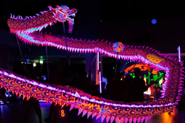 RỒNG DẠ QUANG - Ảnh 7
