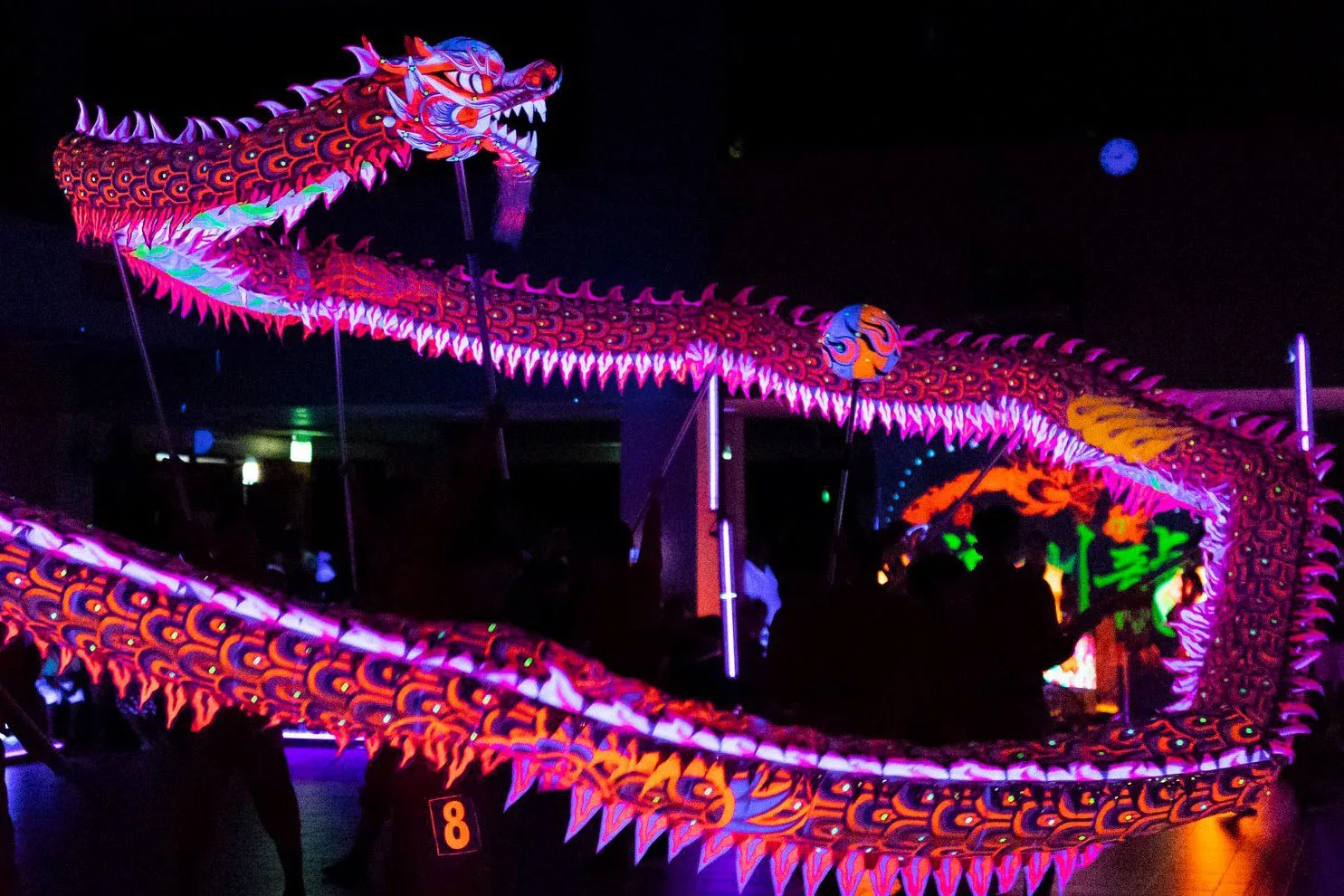 RỒNG DẠ QUANG 7 RỒNG DẠ QUANG - Ảnh 7