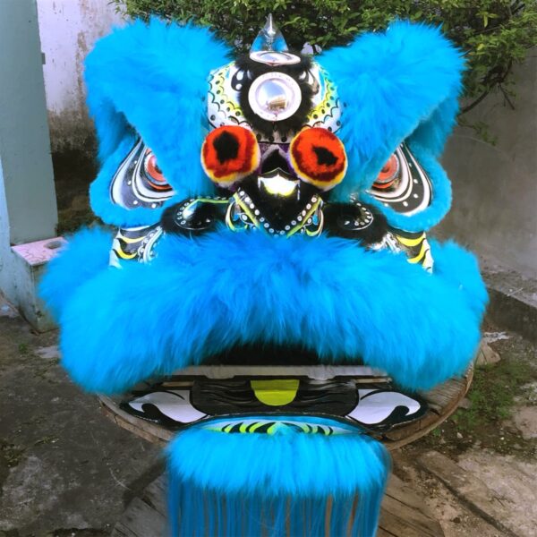 ĐẦU LÂN XANH DA TRỜI - Ảnh 8