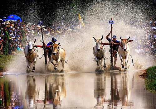 lễ hội đôn ta